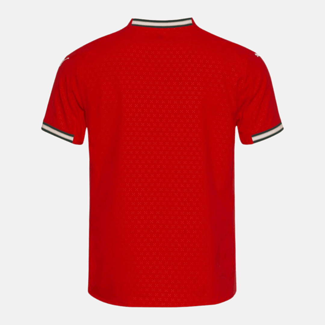 Camisa Puma Portugal 2025 I